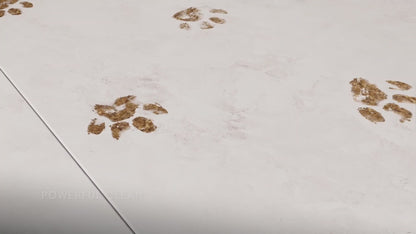 iRobot Roomba Combo: Vacuum & Mop w/ Power Suction & Alexa