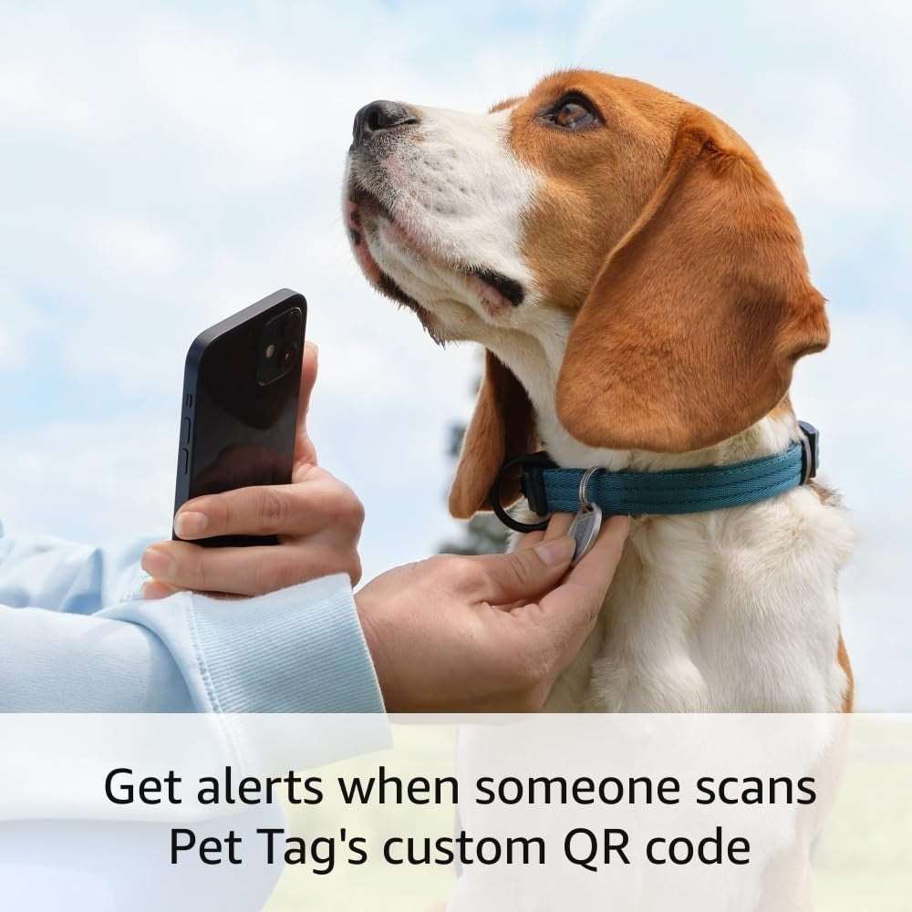 Ring Pet Tag | Easy-to-use tag with QR code | Real-time scan alerts | Shareable Pet Profile