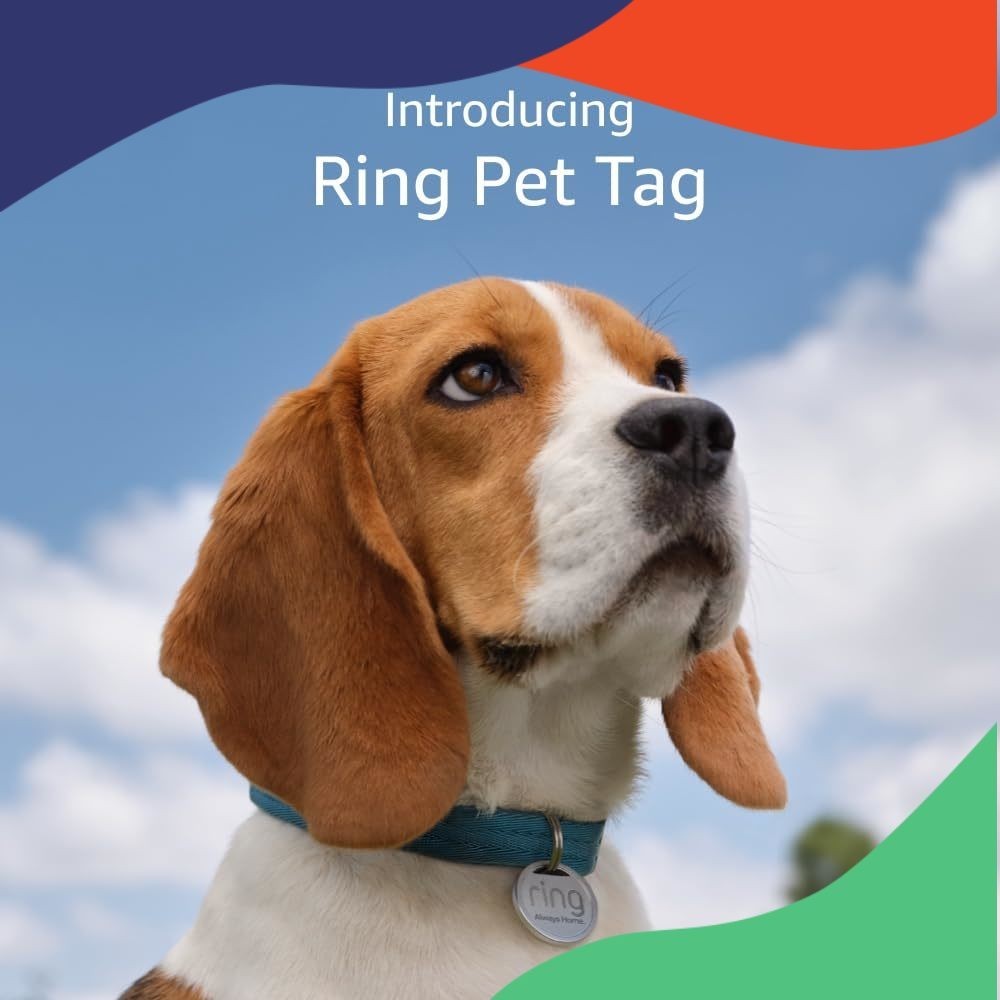 Ring Pet Tag | Easy-to-use tag with QR code | Real-time scan alerts | Shareable Pet Profile